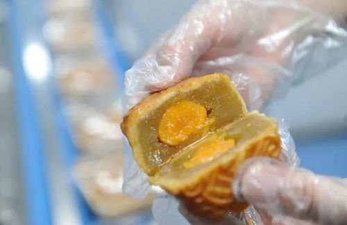 濃濃中秋情，感恩志愿者——愛心企業慰問市城區疫情防控志愿者