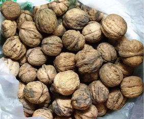 健康警報 這些堅果與干果，請謹慎食用